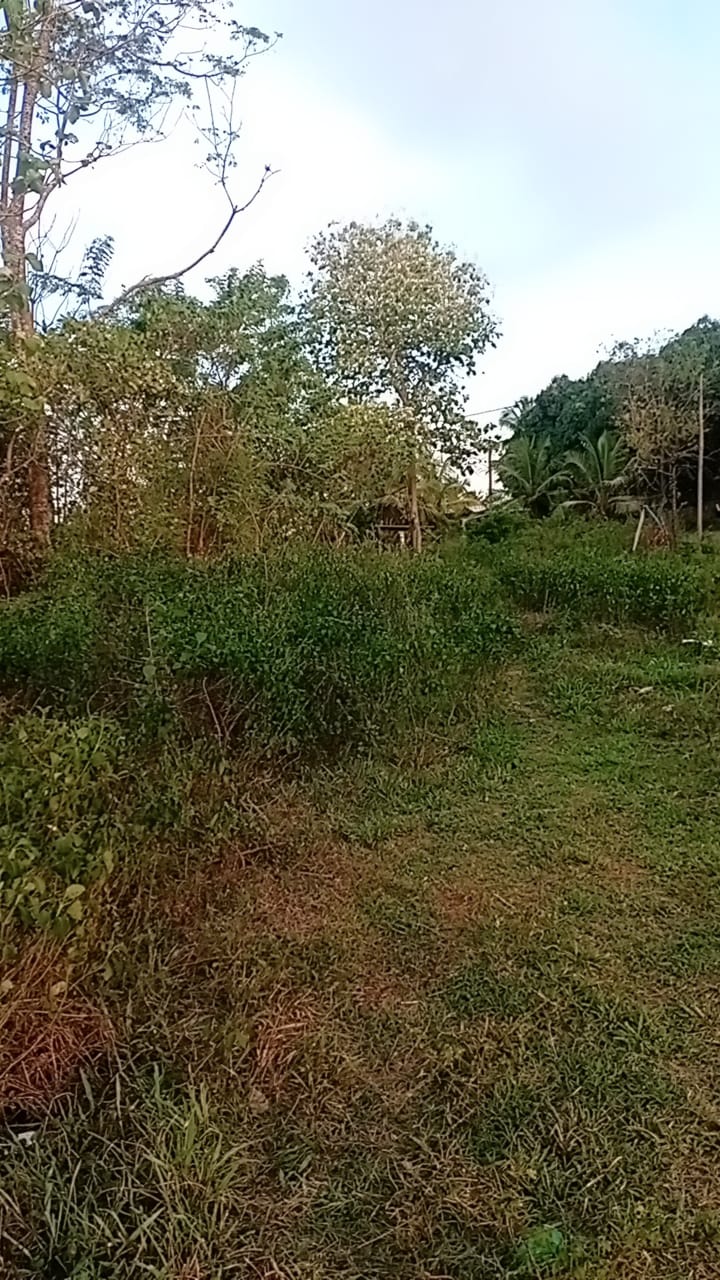 Land for Sale in Badigama