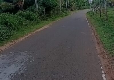 Land for Sale in Badigama