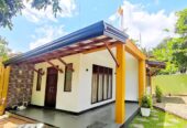Rare Pattern Stylish house sale at Panagoda