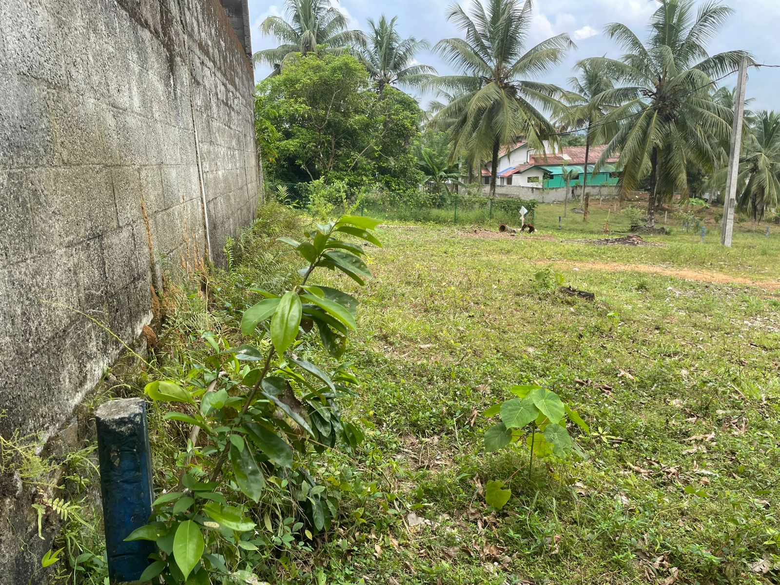 Land for Sale in Watareka 7.7 Perches Near High-Level Road