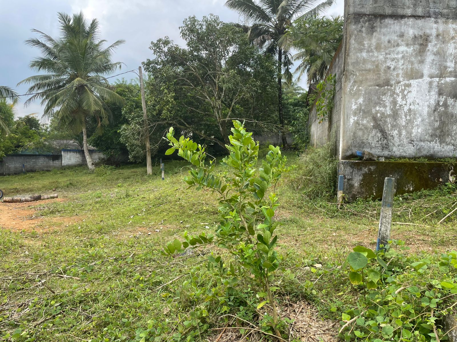 Land for Sale in Watareka 7.7 Perches Near High-Level Road