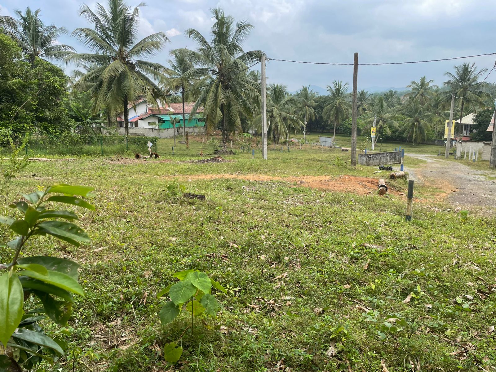 Land for Sale in Watareka 7.7 Perches Near High-Level Road