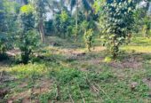 Land for Sale – Horahena, Hokandara (Highly Residential Area 40 Perches)