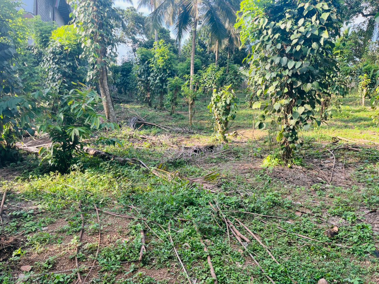 Land for Sale – Horahena, Hokandara (Highly Residential Area 40 Perches)