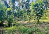 Land for Sale – Horahena, Hokandara (Highly Residential Area 40 Perches)