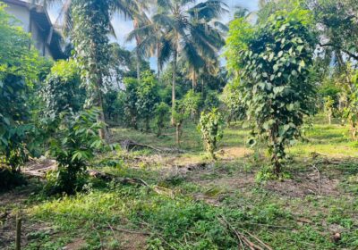 Land for Sale – Horahena, Hokandara (Highly Residential Area 40 Perches)