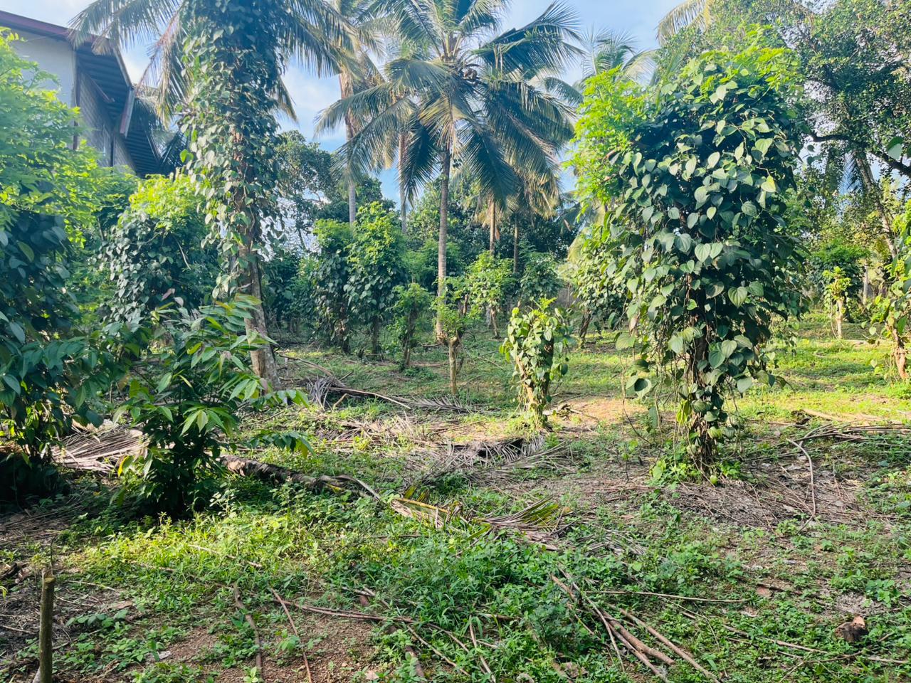 Land for Sale – Horahena, Hokandara (Highly Residential Area 40 Perches)