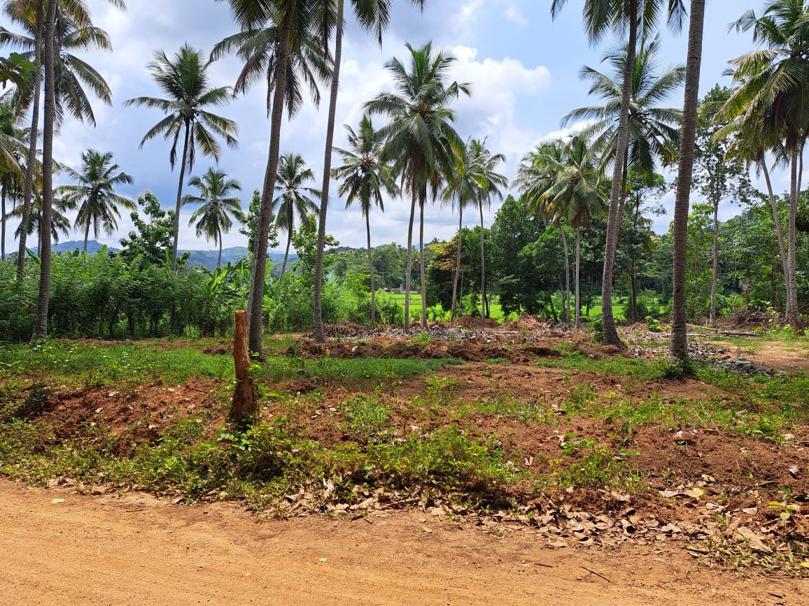 Land for Sale in Polgahawela