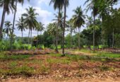 Land for Sale in Polgahawela