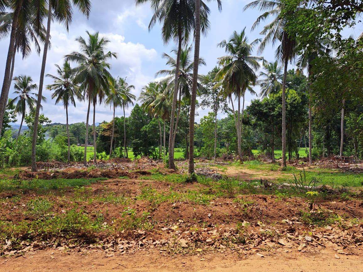 Land for Sale in Polgahawela