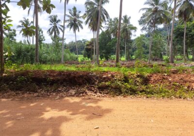 Land for Sale in Polgahawela