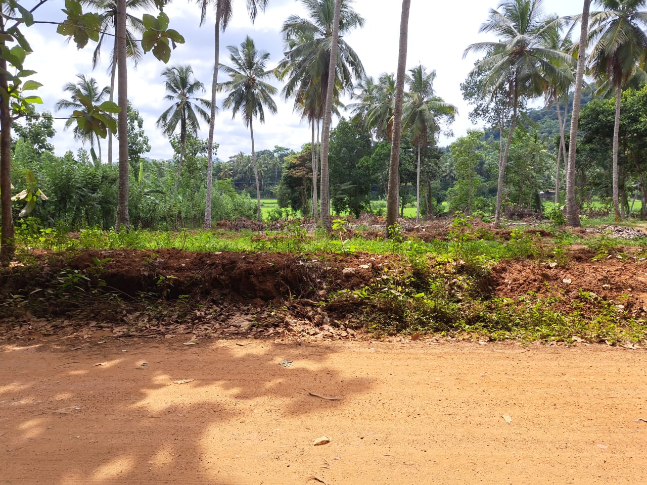 Land for Sale in Polgahawela