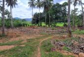 Land for Sale in Polgahawela