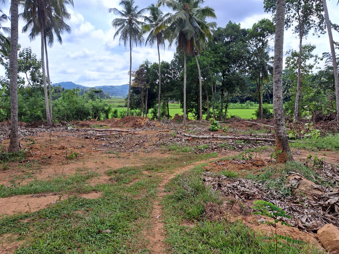 Land for Sale in Polgahawela