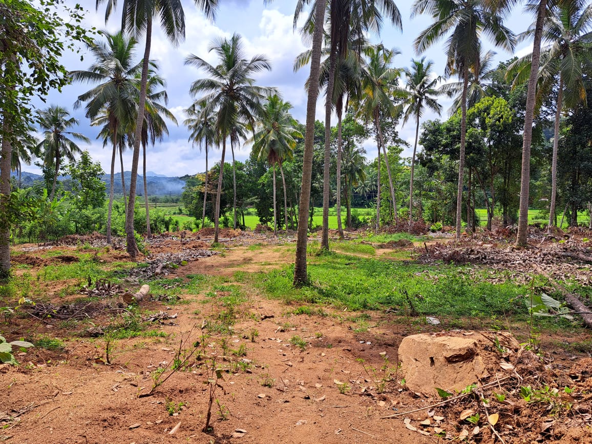 Land for Sale in Polgahawela