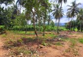 Land for Sale in Polgahawela