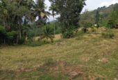 Land for Sale – Badulla