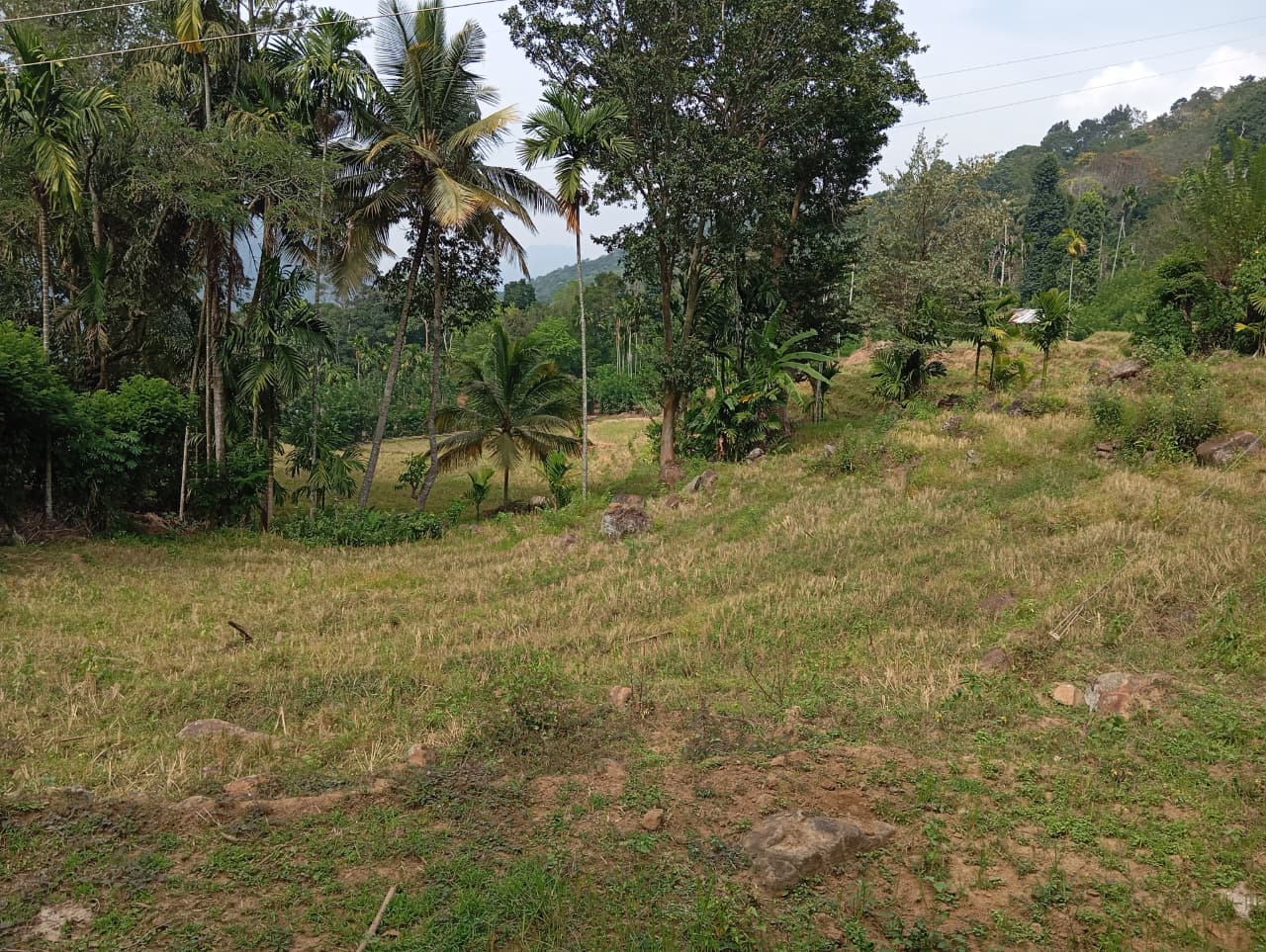 Land for Sale – Badulla