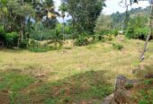 Land for Sale – Badulla