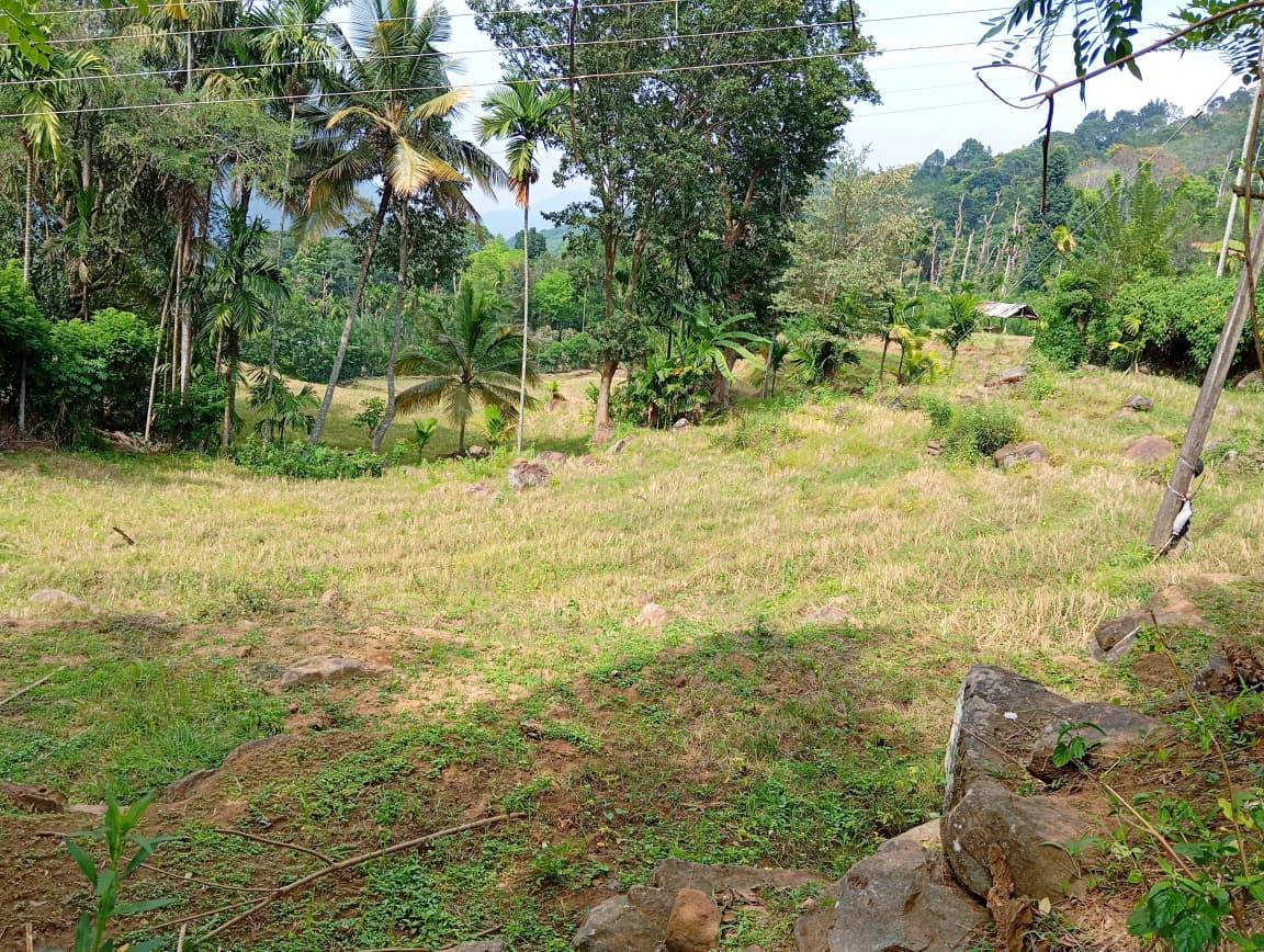 Land for Sale – Badulla