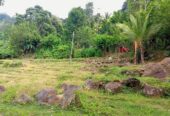 Land for Sale – Badulla