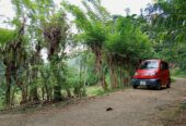 Land for Sale – Badulla