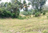 Land for Sale – Badulla