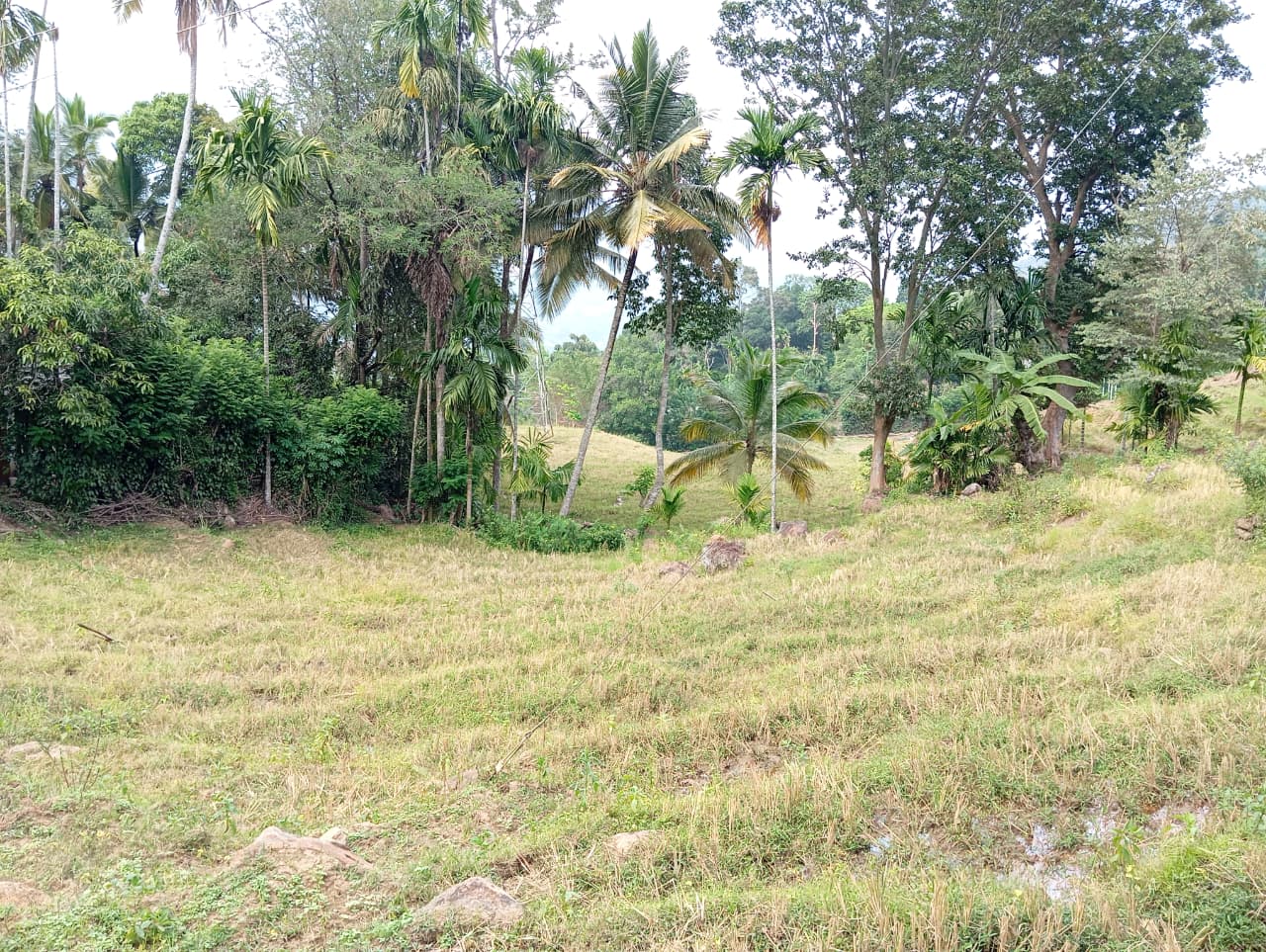 Land for Sale – Badulla