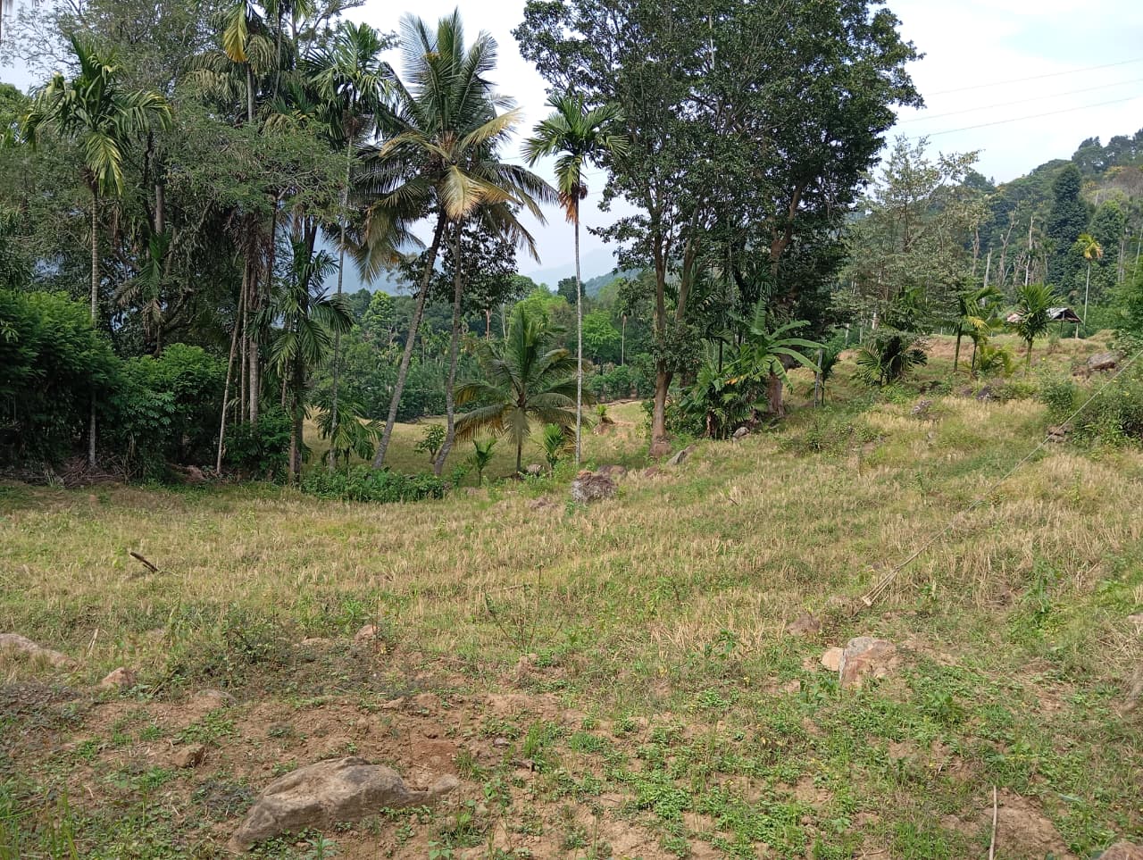 Land for Sale – Badulla