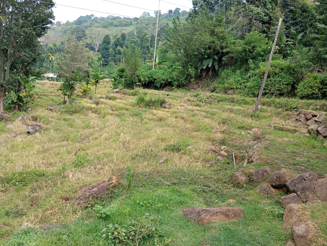 Land for Sale – Badulla
