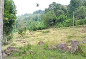 Land for Sale – Badulla