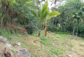Land for Sale – Badulla
