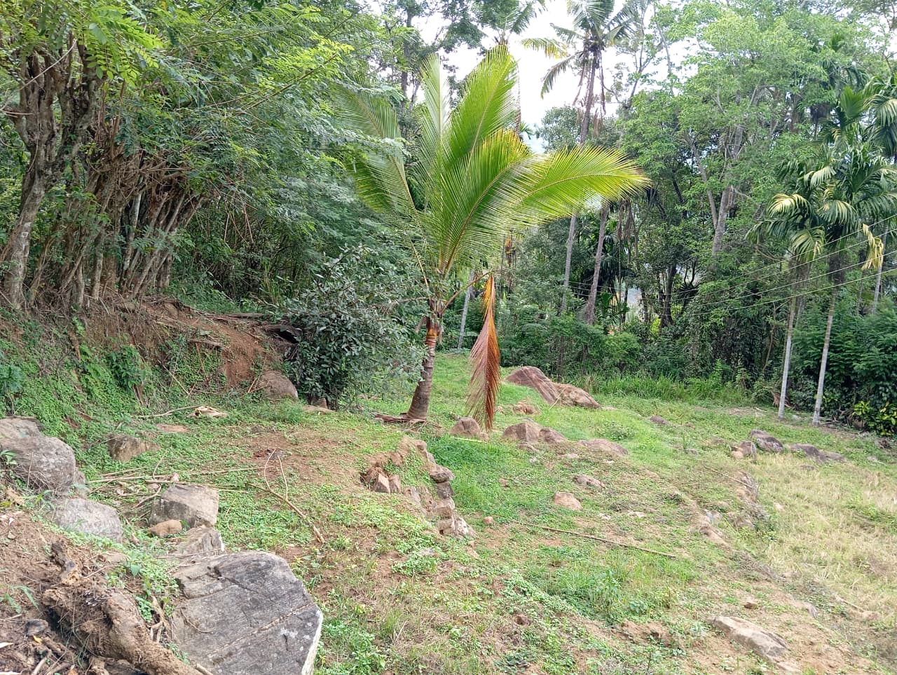 Land for Sale – Badulla