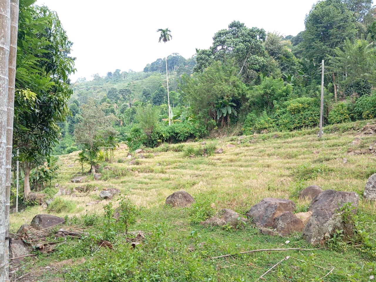 Land for Sale – Badulla