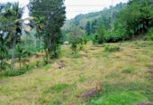Land for Sale – Badulla