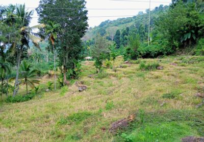 Land for Sale – Badulla