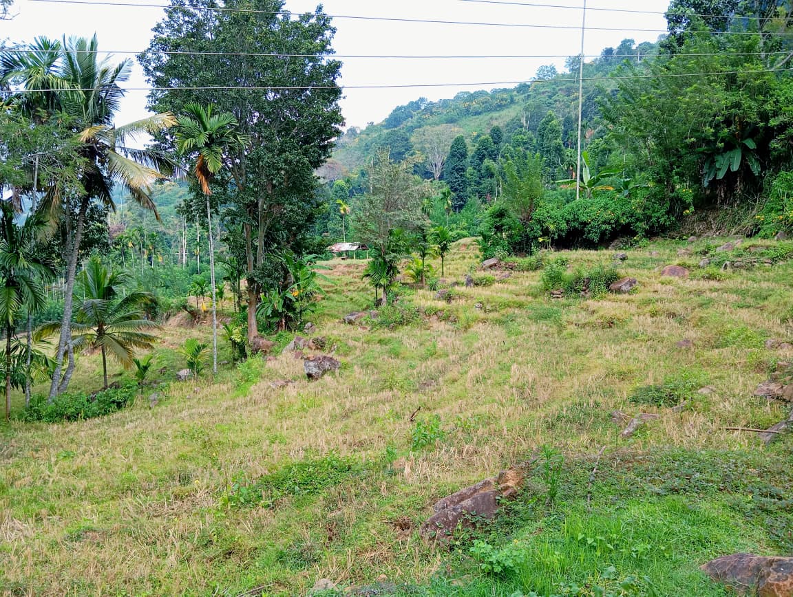Land for Sale – Badulla