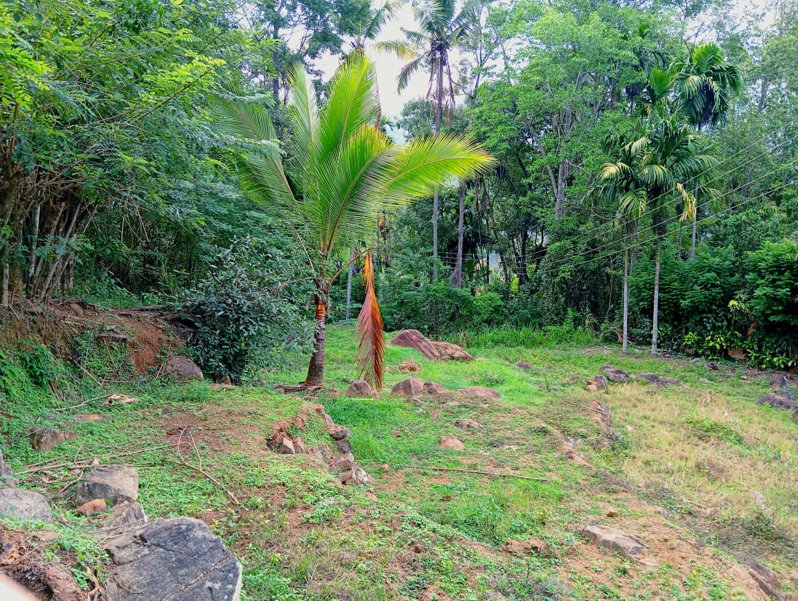 Land for Sale – Badulla