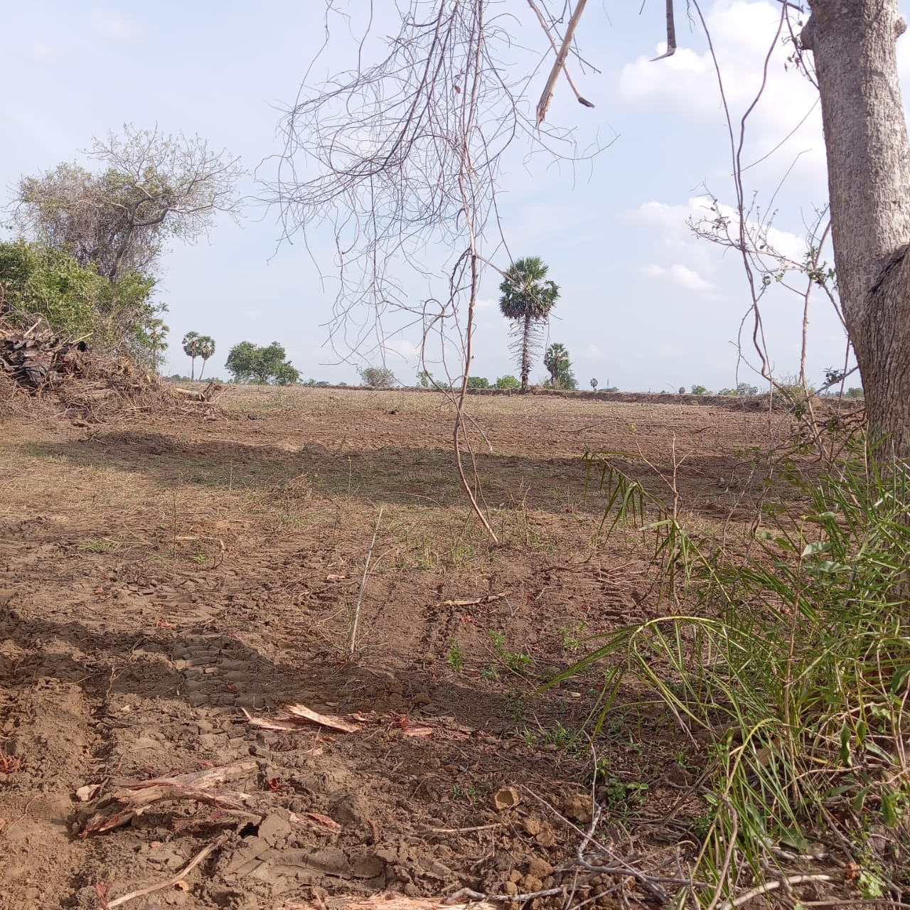 Land for Sale in Batticaloa