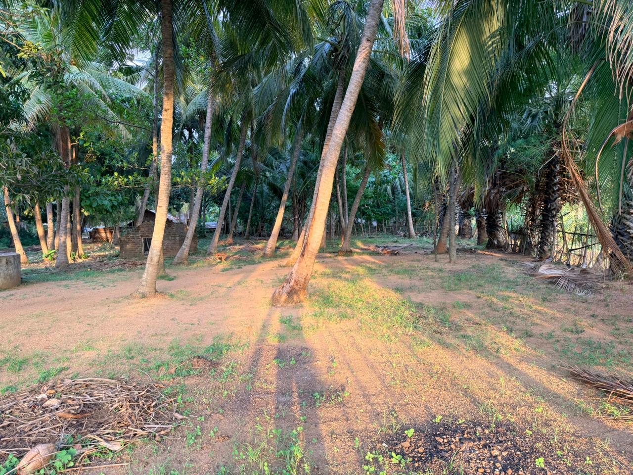 Land for Sale – Kinniya