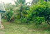 Land for Sale in Wewaldeniya