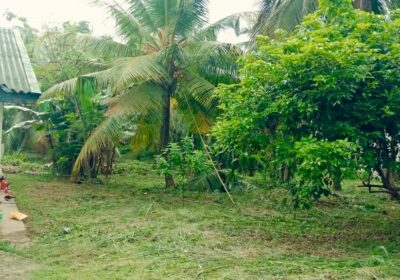Land for Sale in Wewaldeniya
