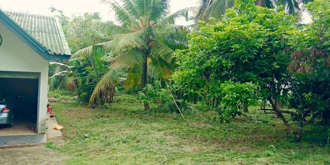 Land for Sale in Wewaldeniya