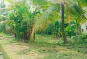 Land for Sale in Wewaldeniya