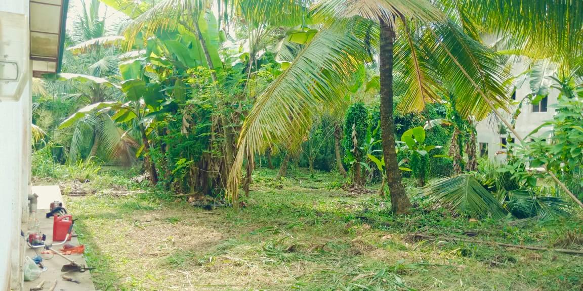 Land for Sale in Wewaldeniya