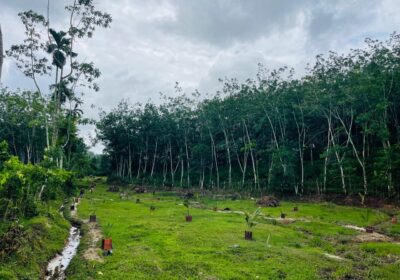 Land for Sale in Aluthgama