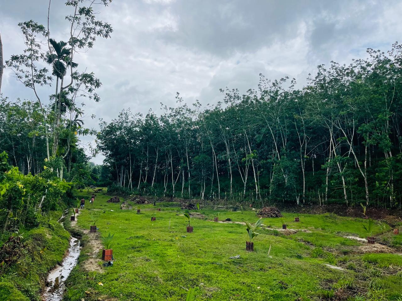 Land for Sale in Aluthgama