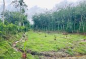 Land for Sale in Aluthgama