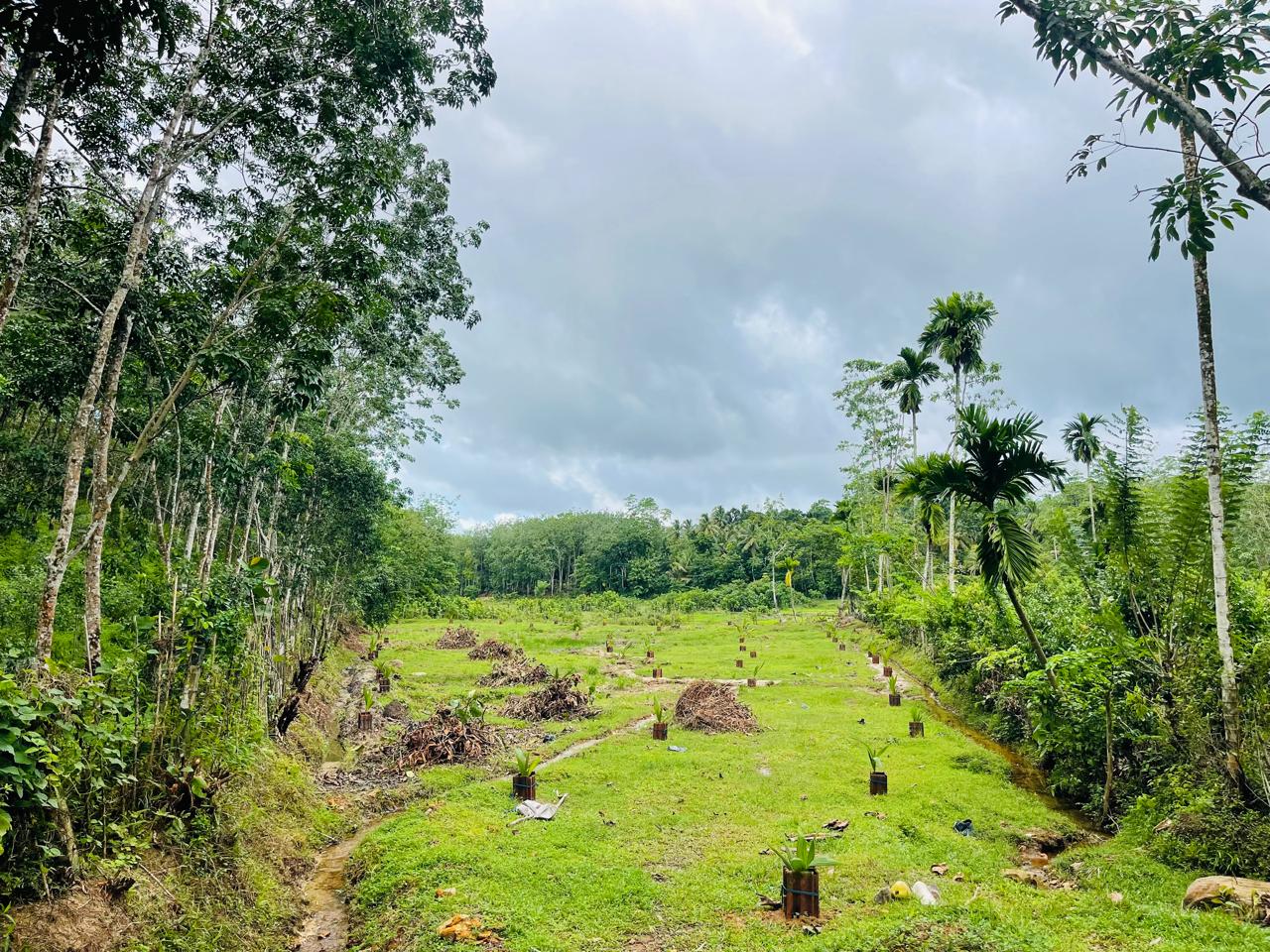 Land for Sale in Aluthgama