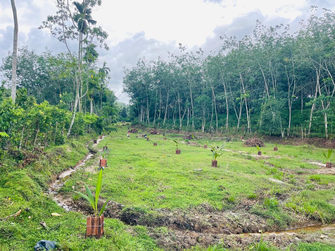 Land for Sale in Aluthgama